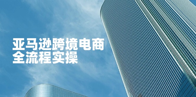 亞馬遜跨境電商全流程實操,教你從零開始,掌握店鋪運營與廣告技巧 - 嚴選資源大全