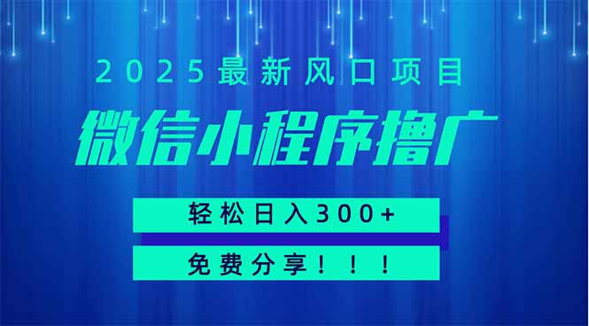 微信小程序擼廣，最新風口項目，日入300+ 免費分享 可批量操作 小白可… - 嚴選資源大全