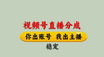 視頻號直播分成,全程托管招募,單月輕松變現8k【揭秘】 - 嚴選資源大全