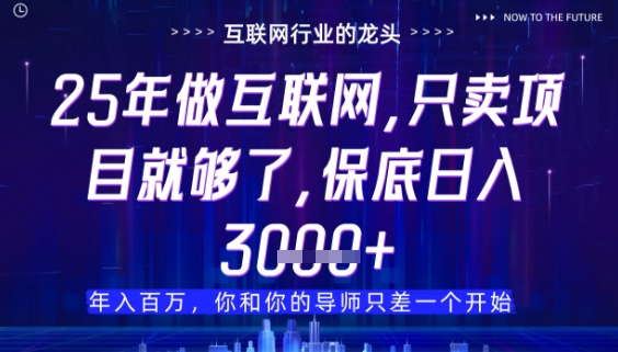 什么！25年你還在找項目做？風口早就變了，賣項目才是穩掙不賠【揭秘】 - 嚴選資源大全