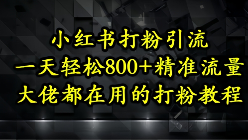 小紅書打粉引流，一天輕松500+精準流量，大佬都在用的打粉教程 - 嚴選資源大全