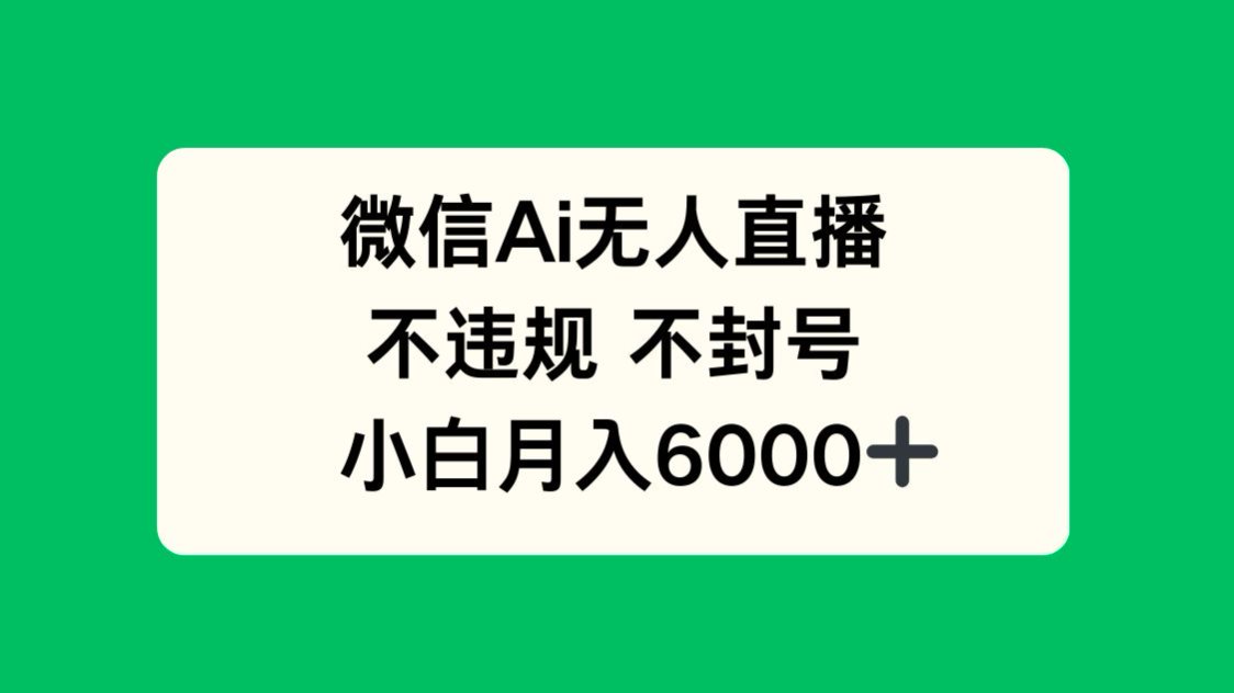 微信AI無人直播,不違規(guī) 不封號 ,小白月入6000+ - 嚴(yán)選資源大全