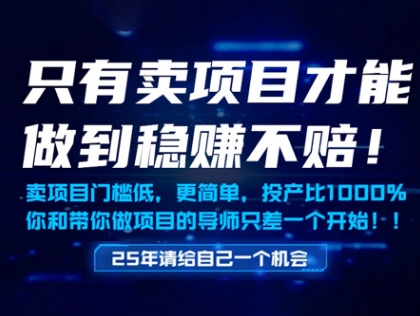 只有賣項目才能做到穩(wěn)掙不賠，門檻低，更簡單，你也可以年入百個W【揭秘】 - 嚴選資源大全