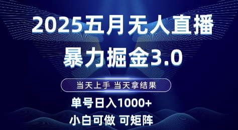 2025五月無人直播暴力掘金3.0，當天上手，當天拿結果，單號日入1k+小白可做可矩陣【揭秘】 - 嚴選資源大全
