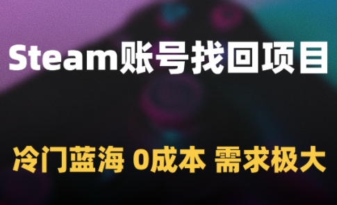 Steam賬號找回項目,冷門藍海,0成本,需求極大 - 嚴選資源大全