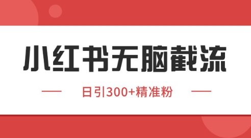 小紅書截流同行客源，獨家野路子獲客玩法 日引200+暴力獲客【揭秘】 - 嚴選資源大全