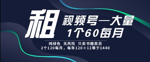 租視頻號,一個60每月,2個120.純綠色、無風險,常年租【揭秘】 - 嚴選資源大全