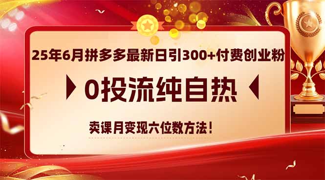 25年6月拼多多最新日引300+付費(fèi)創(chuàng)業(yè)粉,0投流純自熱 賣課月變現(xiàn)六位數(shù)方法 - 嚴(yán)選資源大全