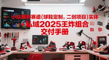 小眾暴利賽道(球鞋定制，二創項目)實體+私域2025王炸組合 ?交付手冊 - 嚴選資源大全