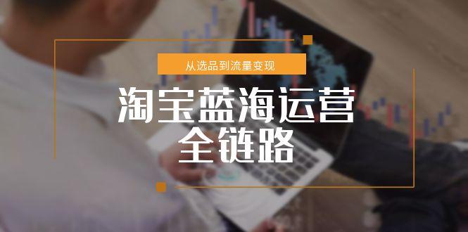 淘寶藍海運營全鏈路，從選品到流量變現，小類目突圍完整方案 - 嚴選資源大全