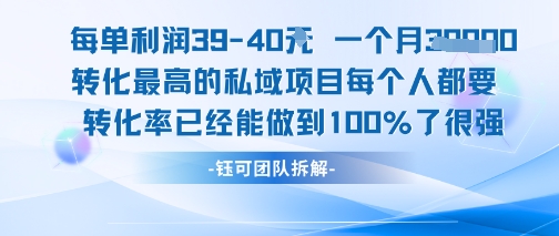 每單利潤40一個月7k+轉化最高的私域項目,每個人都要的產品轉化率已經能做到100% - 嚴選資源大全
