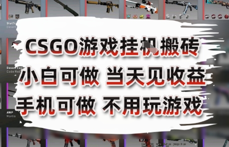 CSGO游戲掛G搬磚,小白純手機即可操作,不用電腦打游戲,日入3張+,副業(yè)網(wǎng)創(chuàng)項目【揭秘】 - 嚴選資源大全