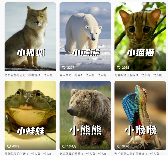 最新搞笑動(dòng)物百科詳細(xì)解說(shuō)課程,藍(lán)海賽道,流量非常大,輕松簽獨(dú)家進(jìn)精選