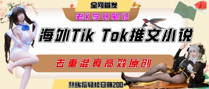 海外tiktok小說推文暴力項目，高停留率，高轉化率，上手后一天搞頓飯錢不是問題 - 嚴選資源大全