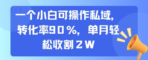 一個(gè)小白可操作私域，轉(zhuǎn)化率90%，單月輕松收割2W - 嚴(yán)選資源大全