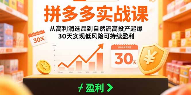 拼多多實戰課:從高利潤選品到自然流高投產起爆 30天實現低風險可持續盈利 - 嚴選資源大全