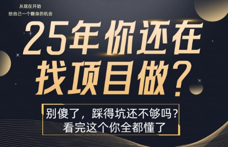 25年,你還在瘋狂的找項目嗎?別傻了,看完這個你都懂了【揭秘】 - 嚴選資源大全