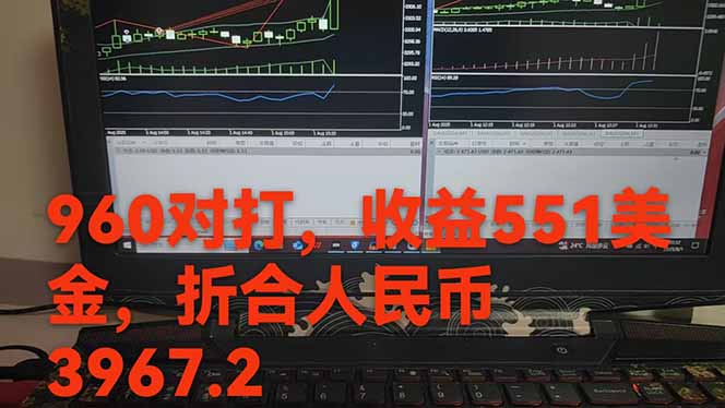 圖片[1] - 穩(wěn)定8年的美刀搬磚項目，單人每日收益800—3000.團隊4人月入10W+.可線下 - 嚴(yán)選資源大全 - 嚴(yán)選資源大全