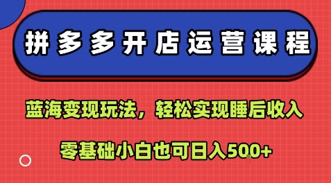 拼多多開店運營課程：藍海變現玩法，輕松實現睡后收入，零基礎小白也可日入5張 - 嚴選資源大全