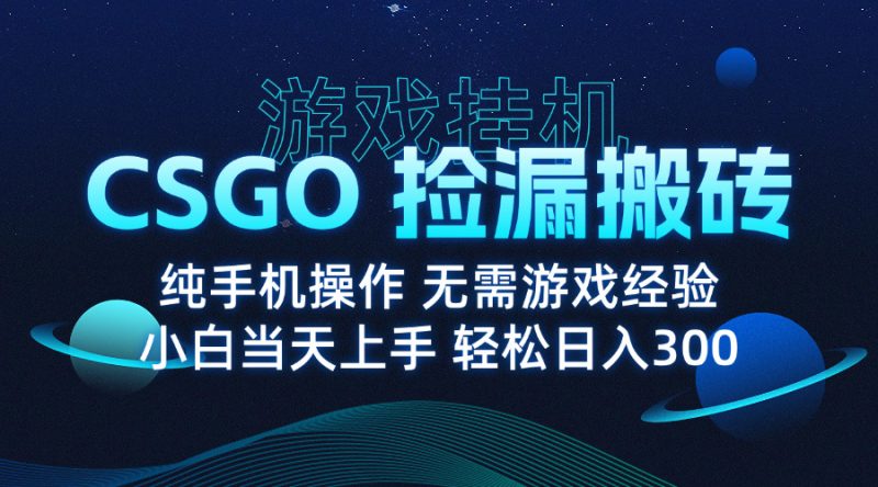 8月最新游戲搬磚,CSGO純掛機,不需要玩游戲,實現(xiàn)真掛機,月入1W+ - 嚴選資源大全 - 嚴選資源大全