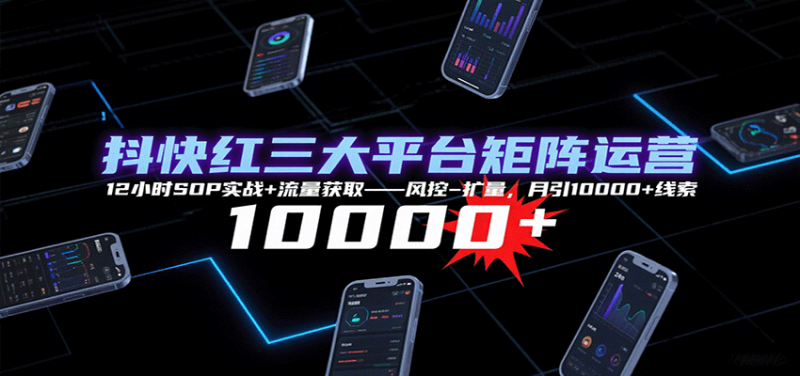 抖快紅三大平臺矩陣運營，12小時SOP實戰+流量獲取-風控-擴量，月引10000+線索 - 嚴選資源大全 - 嚴選資源大全