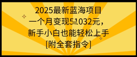 2025最新藍(lán)海項(xiàng)目一個(gè)月變現(xiàn)1w+新手小白也能輕松上手【附全套指令】 - 嚴(yán)選資源大全