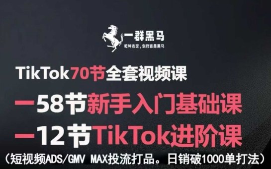 TikTok全套視頻課,新手入門+進階課,短視頻ADS-GMV MAX投流打品,日銷破1000單打法 - 嚴(yán)選資源大全