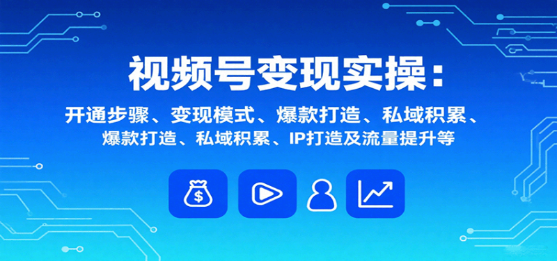 視頻號變現實操,含開通步驟、變現模式、爆款打造、私域積累、IP打造及流量提升等 - 嚴選資源大全 - 嚴選資源大全
