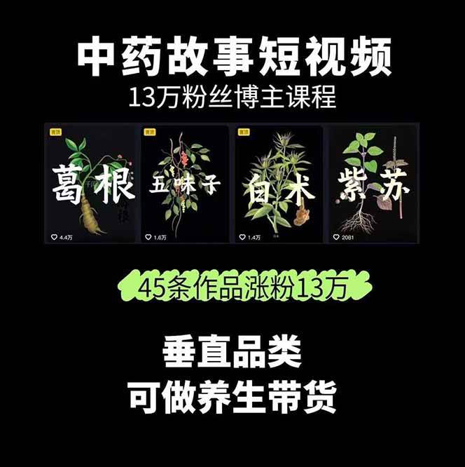 圖片[1] - 中藥文化賽道：溯源故事開發(fā)，AI工具實戰(zhàn)，平臺運營，全方位解鎖中醫(yī)流量變現(xiàn)新路徑 - 嚴選資源大全 - 嚴選資源大全