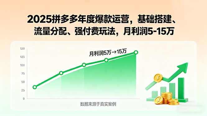 2025拼多多年度爆款運營，基礎(chǔ)搭建、流量分配、強付費玩法，月利潤5-15萬 - 嚴(yán)選資源大全