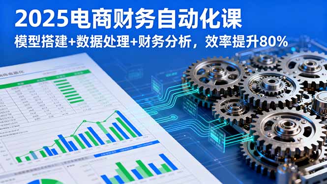 2025電商財務自動化課，模型搭建+數(shù)據(jù)處理+財務分析，效率提升80% - 嚴選資源大全
