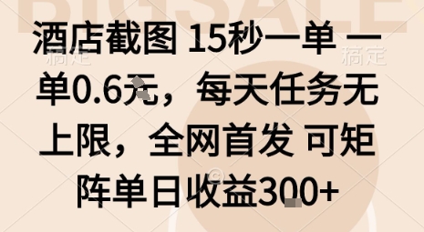 酒店截圖15秒一單，一單0.6米，每天任務(wù)無上限，全網(wǎng)首發(fā)可矩陣單日收益3張【揭秘】 - 嚴(yán)選資源大全