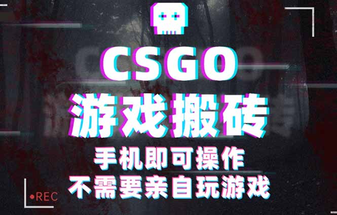 CSGO游戲掛機撿漏，單日掃貨500+，年底小高峰上車可吃肉，手機即可操作… - 嚴選資源大全