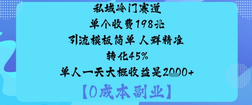 私域冷門賽道:單個收費198米引流模板簡單人群精準轉化45%單人一天大概收益是1k+ - 嚴選資源大全