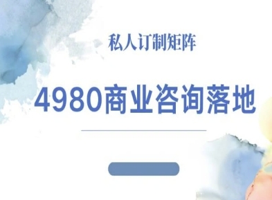 4980商業(yè)咨詢師落地課程-ip運營高客單教程 - 嚴選資源大全