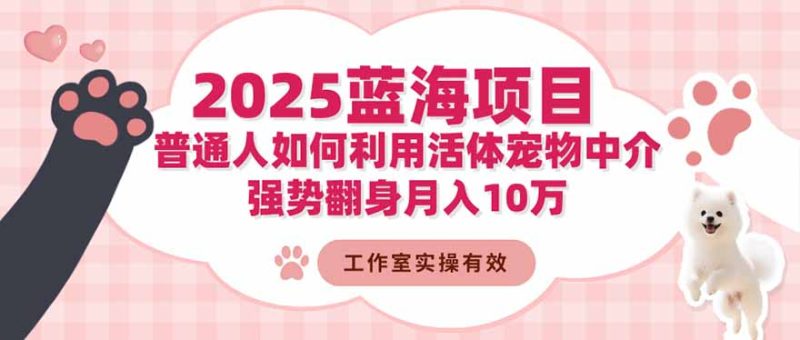 2025藍海項目:普通人如何利用活體寵物中介,強勢翻身月入10萬 - 嚴選資源大全 - 嚴選資源大全