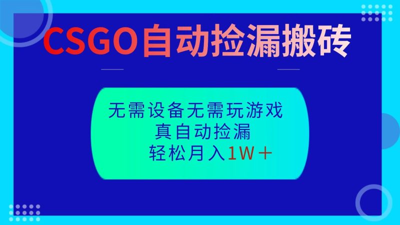 CSGO自動撿漏搬磚,當天操作當天見結果,無需了解游戲,包教包會包落地 - 嚴選資源大全 - 嚴選資源大全
