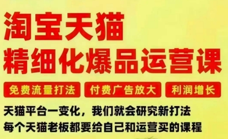 淘寶天貓精細化爆品運營課，免費流量打法-付費廣告放大-利潤增長-三大核心痛點，一次全部解決 - 嚴選資源大全